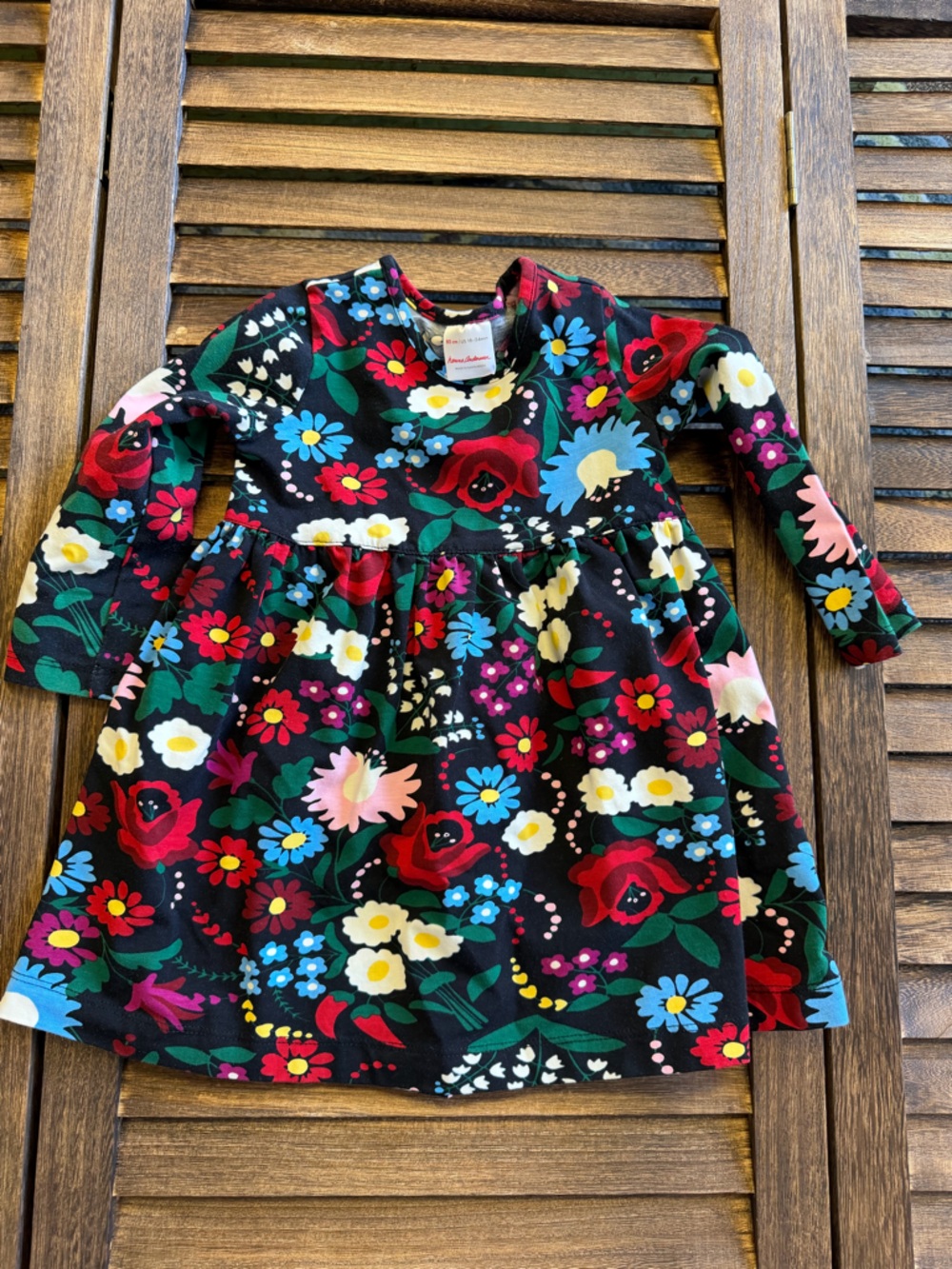 Hanna Andersson Black Floral Long-Sleeve Dress Multicolor Holiday Blooms 18-24